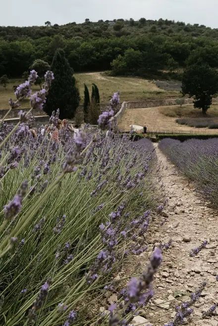 /images/provence-2022/provence-25.JPG
