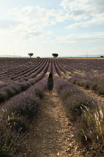 /images/provence-2022/provence-37.JPG