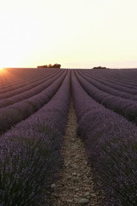 /images/provence-2022/provence-50.JPG